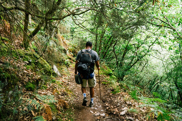 man hiking in the forest and mountains