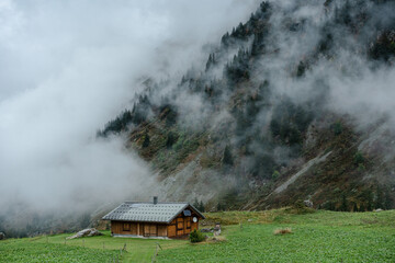 Rescue shelter in Alpine meadow in fog