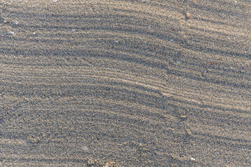 Fototapeta premium Beautiful horizontal texture of yellow sand with waves and shells is in the photo
