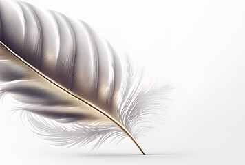 Feather for letters, romantic, or regrets, or sorrow. Copy space. Luxury background. Generative AI.