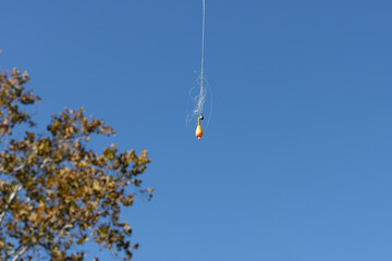 Orange float with a fishing line dangling on the blue sky background