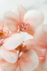 Making edible orchid sugar flowers with powdered dyes on the white marble background. Macro shot