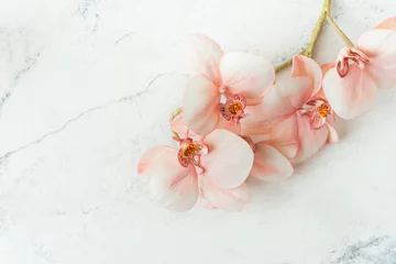 Foto op Canvas Making edible orchid sugar flowers with powdered dyes on the white marble background. Macro shot. Flat lay © alexanderon
