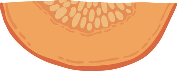 Colored pumpkin hand drawn vector graphic illustration. Colorful drawing autumn vegetable whole, slice and halves isolated on white background. Seasonal fresh plant bundle