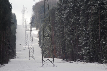 Słupy energetyczne w zimowym lesie.