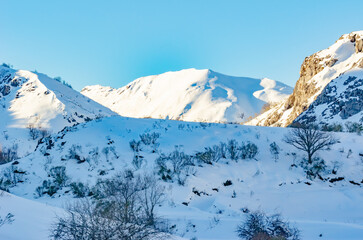 Obraz premium Montañas y peñas nevadas