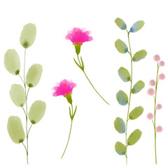 Watercolor flowers and leaves, digital drawing