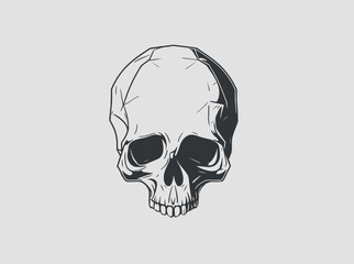 Human Skull. Hand Drawn Sketch Vector illustration.