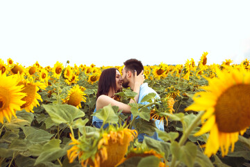 Lovely couple walks through yellow bouquet blooming sunflower field outdoors sunrise warm nature background. Summer holiday relax. Husband and wife hugging kissing embaracing smiling laughing

