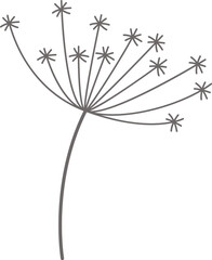 Dandelion fluffy flower flat icon Floral design