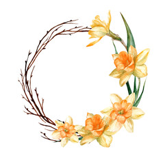 Daffodil flowers in floral watercolor wreath on a white background, watercolor with clipping path