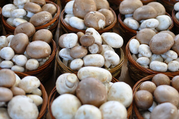 Champignons