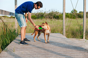 Male owner giving toy to dog
