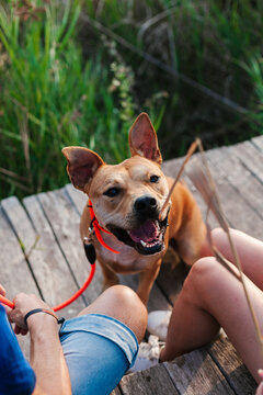 Crop owners playing with dog