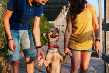 Crop couple holding paws of dog