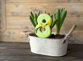 Congratulations on the 8th of March. Gingerbread number 8 on the pot of hyacinth flowers on the wooden background