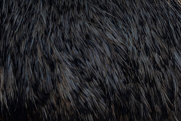 background pattern gray ostrich feathers