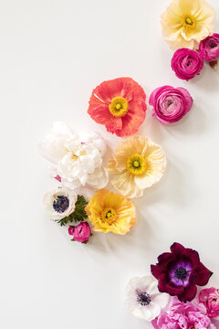 vibrant spring flowers arranged on white