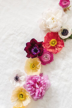 vibrant spring flowers arranged on white