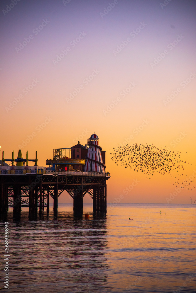 Wall mural The Starlings over Brighton Pier - Wall murals