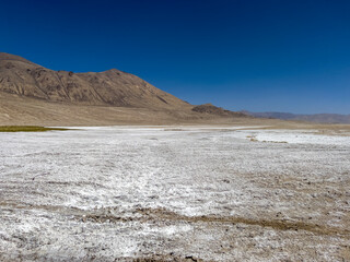 The large area of ​​Badakhshan region is saline.