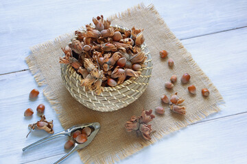 Nuts. Hazelnuts in husk in small basket on rustic table. Copy space