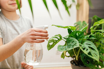 A teenage girl sprays home flowers from a spray bottle at home. House plant care. Hobby for a...