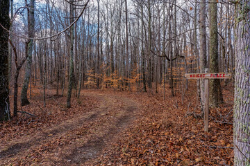 Wooden road sign in the forest. Wright Place Road in Tennessee on Bear Creek Wildlife Management Area