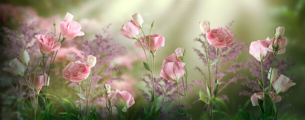 Fantasy Eustoma flowers grow in a row in enchanted fairy tale dreamy garden with fabulous fairytale...