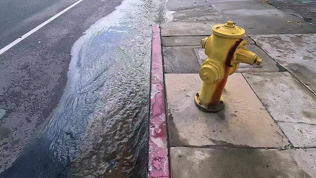 Flooding water stream on the street near the fire hydrant in Los Angeles, California, 4K