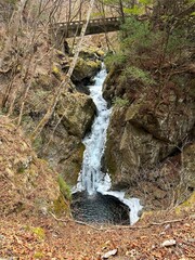 冬の奥多摩「川乗林道」にある無名の滝