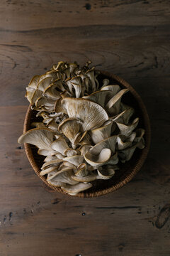 Oyster mushrooms in a wicker basket