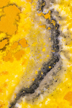 Detail Of A Yellow Jasper  