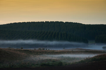 fog over the field