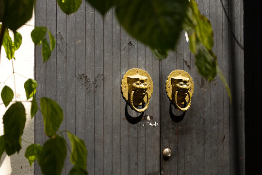 The Lion Knockers 