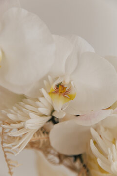 white flower