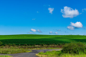 Fototapeta na wymiar rural landscape with clouds like windows