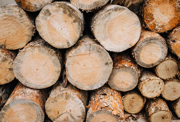 Background, texture of pine, coniferous logs, sawn trees in a row. Photography, preparation for the winter.