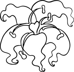 Beautiful flowers hand drawing. Decorative vector element for birthday party, wedding invitation, summer holyday mood. Botanical floral, garden theme.