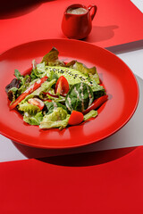 Fresh vegan green salad with avocado, tomatoes , red bell peper and nut sauce in red color boul at red and white background with sunlight and shadows, minimalism