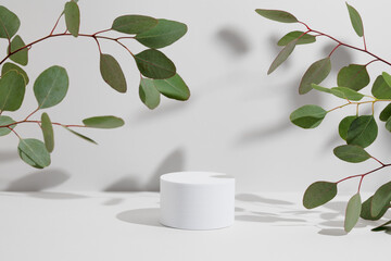 Empty white cylinder shaped podium and natural green eucalyptus branch with shadows on light grey background. Pedestal for product presentation. Mockup for beauty cosmetic advertising. Spring concept.