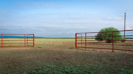 Fototapeta na wymiar field with fence