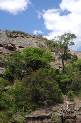 mountain river in the mountains