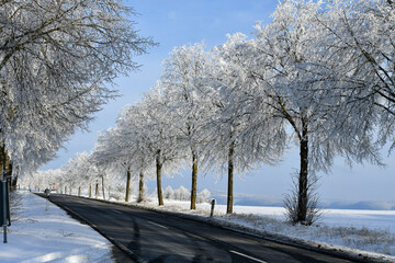 Landstraße mit schneebedeckten Bäumen