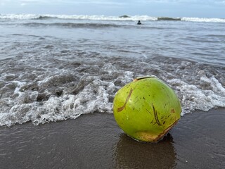 Used green coconut shell being dumped on the beach against the ocean wave.