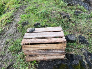 Small wooden box crate or slatted pine crate used for fruit or vegetables on a farm or shop.
