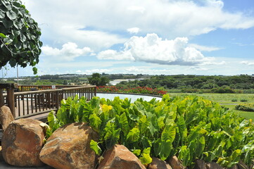 landscape with a garden