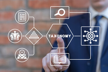 Businessman working on virtual touchscreen of future and sees flowchart with inscription: TAXONOMY. Business, taxonomy, ecology and economy concept.