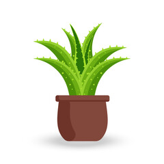 Aloe Vera Plant in Pot. Aloe house plant in Flat style design. Succulent house plant vector. Indoor plant  Isolated on white background. vector illustration