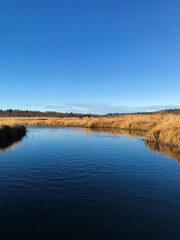 The blue sky is reflected in the water, dry, yellow reeds on the shore. Nature, the moon is visible in the distance. Autumn landscape on the lake. Travel and tourism concept.